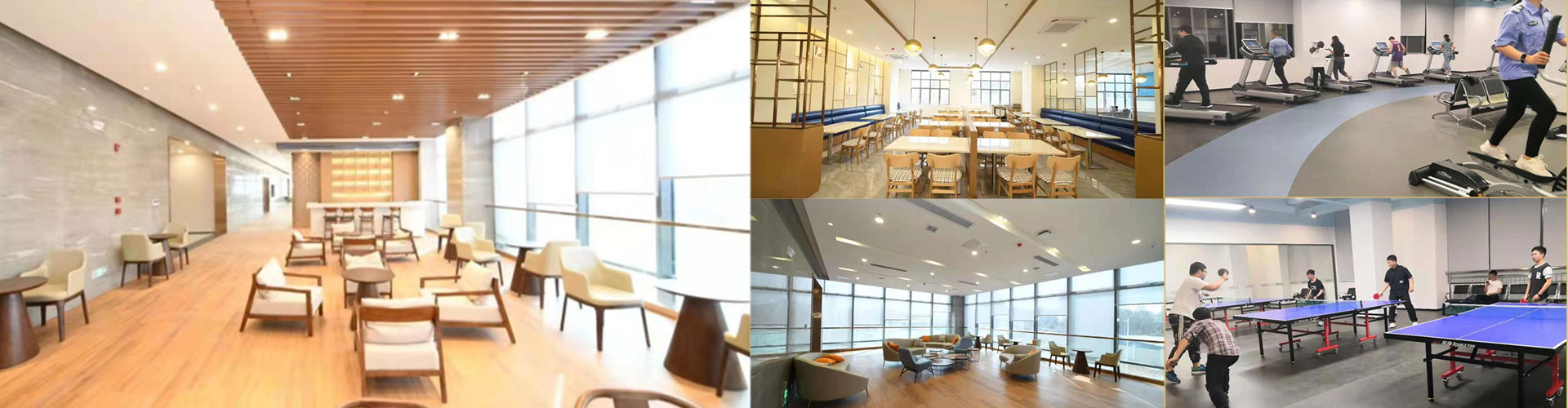 職業(yè)生涯 職業(yè)生涯